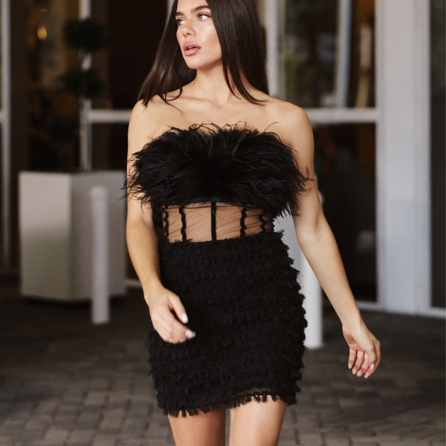 Briolette Black Feather Corset Dress - INAMORE