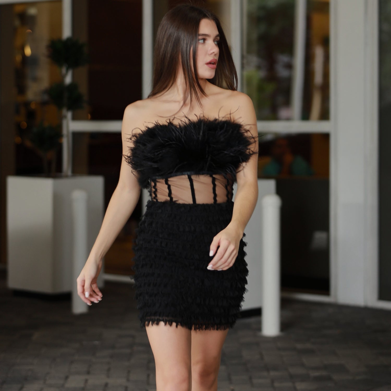 Briolette Black Feather Corset Dress - INAMORE