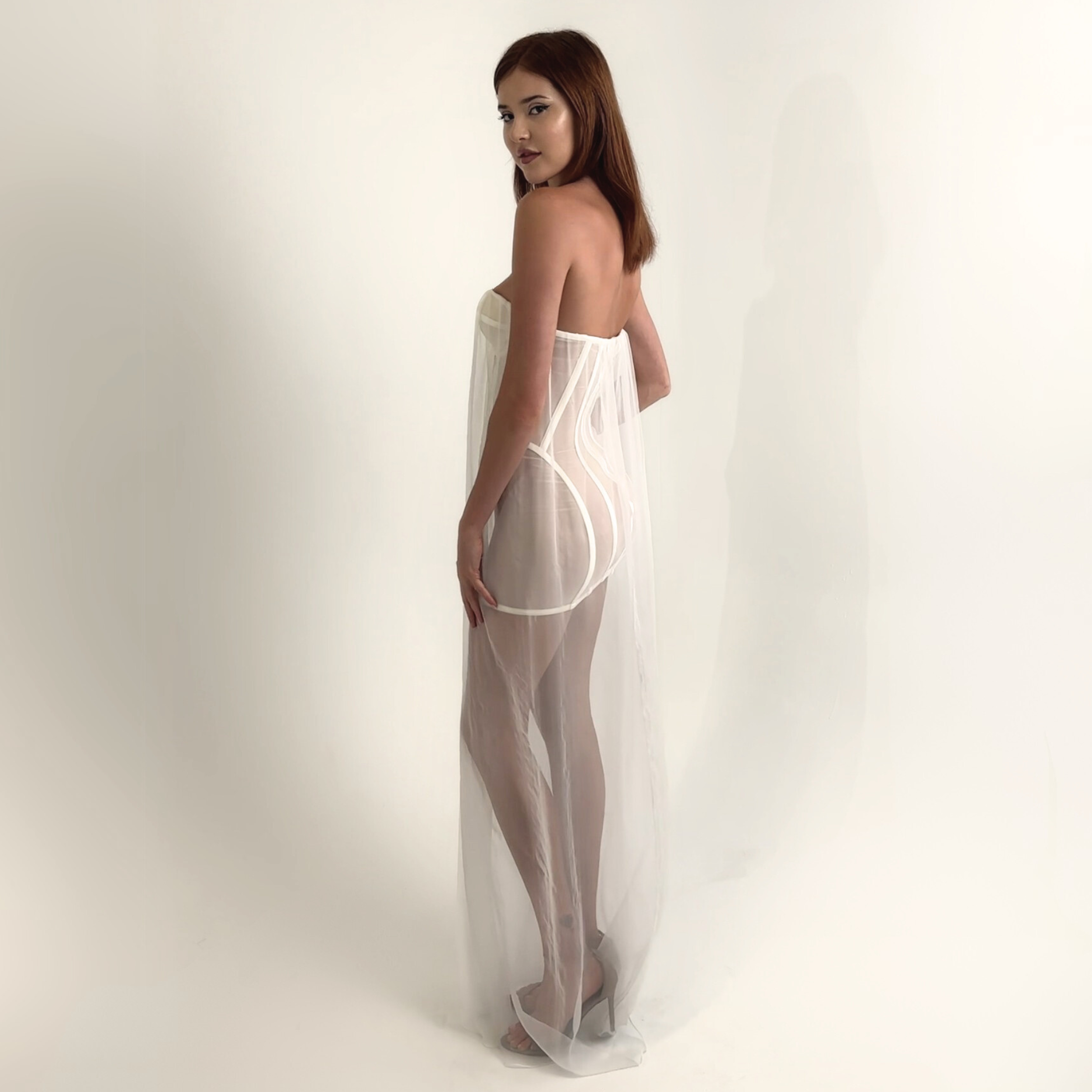 Divine Corset Dress With Sheer Overlay